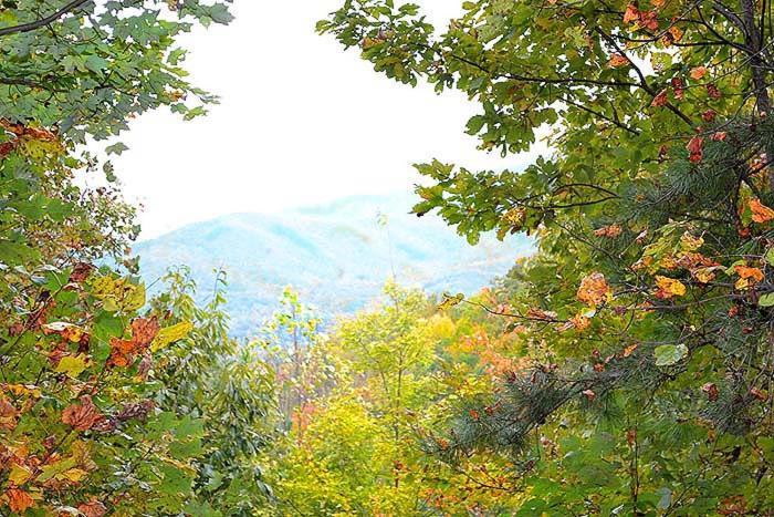 Lost In Love Gatlinburg Esterno foto